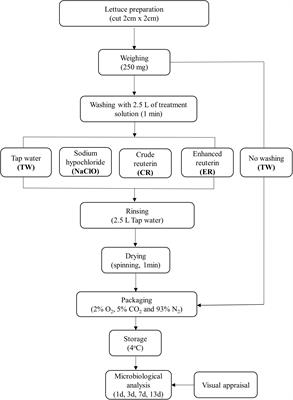 Decontamination of Minimally-Processed Fresh Lettuce Using Reuterin Produced by Lactobacillus reuteri